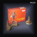 CHANDAN 10 R�ucherkegel aus Indien DARSHAN (RK035)