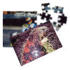 Fotopuzzle